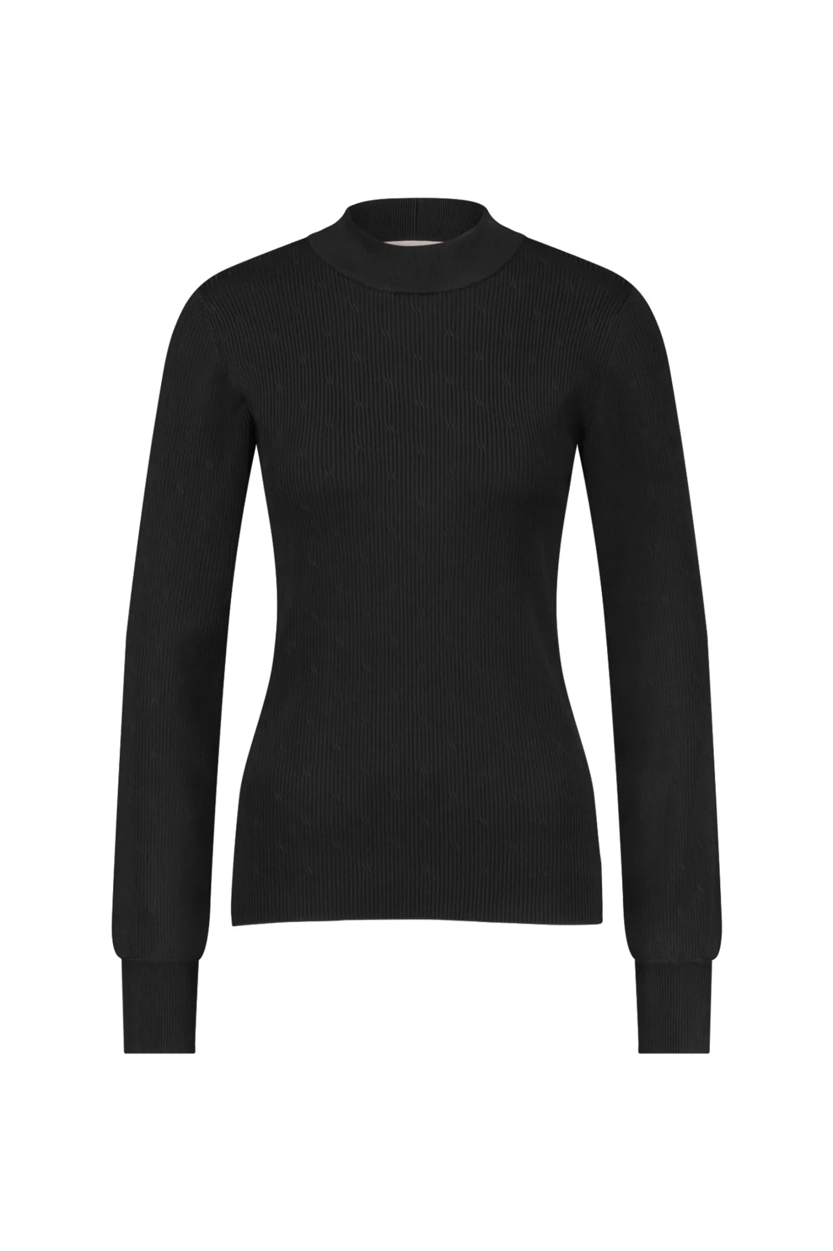 Brady shiny pullover - black