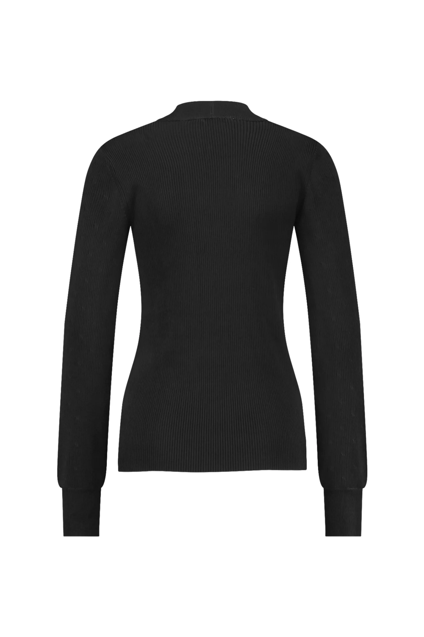 Brady shiny pullover - black