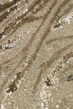 Ebony paillet top - gold
