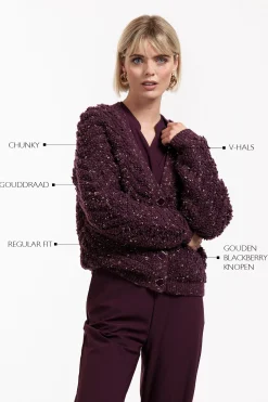 Iris chunky glitter cardigan - blackberry