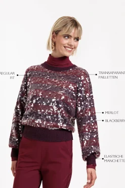 Lilly sequins pullover - blackberry/merlot