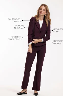 Suzy blazer - blackberry